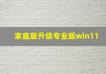 家庭版升级专业版win11