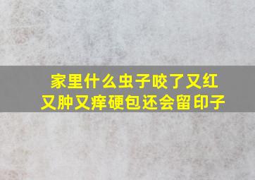 家里什么虫子咬了又红又肿又痒硬包还会留印子