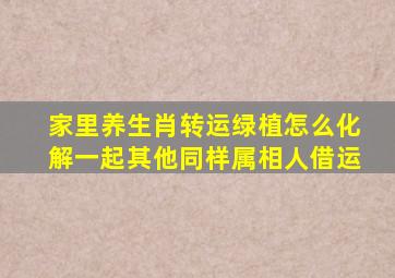 家里养生肖转运绿植怎么化解一起其他同样属相人借运