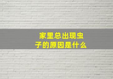 家里总出现虫子的原因是什么