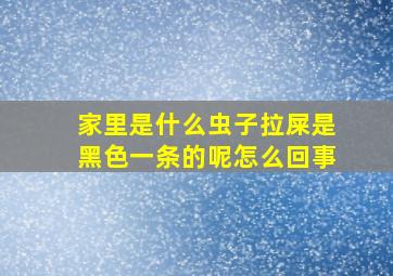 家里是什么虫子拉屎是黑色一条的呢怎么回事