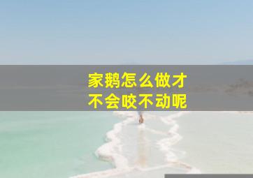 家鹅怎么做才不会咬不动呢