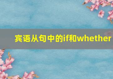 宾语从句中的if和whether