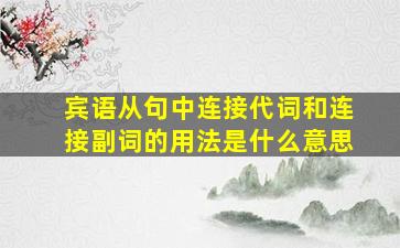 宾语从句中连接代词和连接副词的用法是什么意思