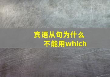 宾语从句为什么不能用which