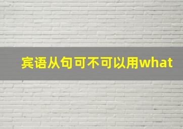 宾语从句可不可以用what