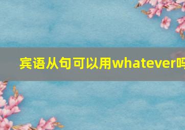 宾语从句可以用whatever吗