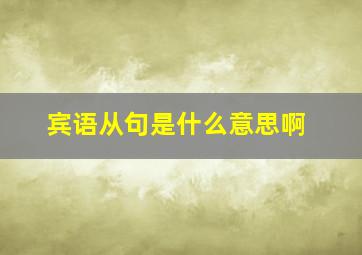 宾语从句是什么意思啊