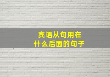 宾语从句用在什么后面的句子