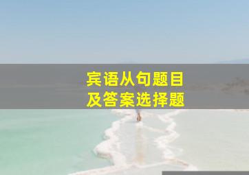 宾语从句题目及答案选择题