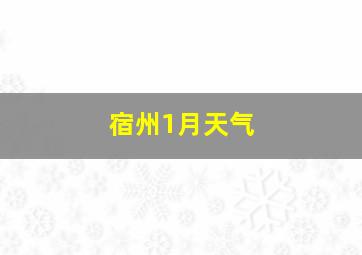 宿州1月天气