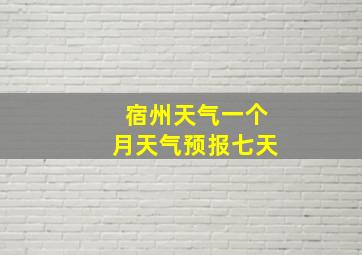 宿州天气一个月天气预报七天