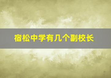 宿松中学有几个副校长