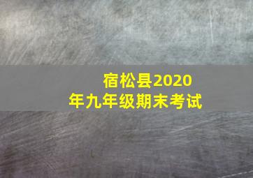 宿松县2020年九年级期末考试