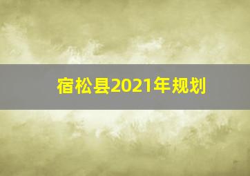 宿松县2021年规划