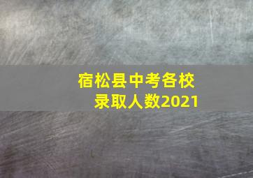 宿松县中考各校录取人数2021