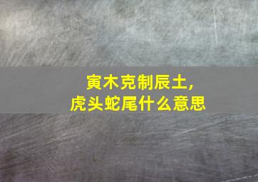 寅木克制辰土,虎头蛇尾什么意思