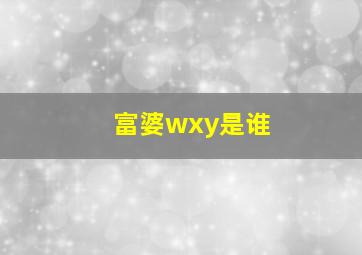 富婆wxy是谁