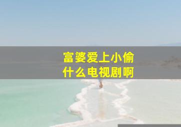 富婆爱上小偷什么电视剧啊