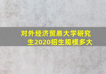 对外经济贸易大学研究生2020招生规模多大