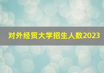 对外经贸大学招生人数2023