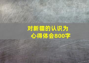 对新疆的认识为心得体会800字