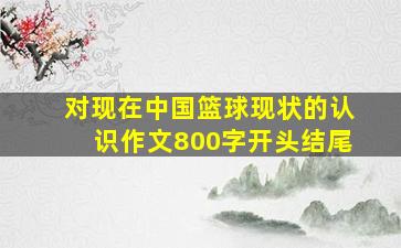 对现在中国篮球现状的认识作文800字开头结尾