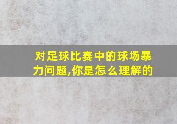 对足球比赛中的球场暴力问题,你是怎么理解的