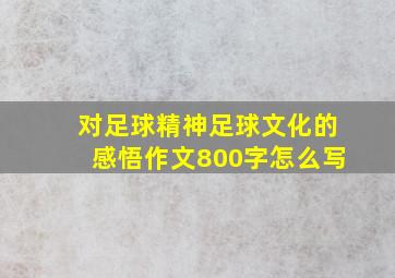 对足球精神足球文化的感悟作文800字怎么写