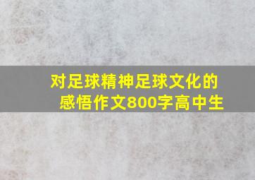 对足球精神足球文化的感悟作文800字高中生