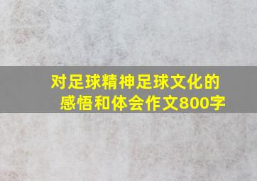 对足球精神足球文化的感悟和体会作文800字