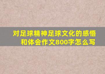 对足球精神足球文化的感悟和体会作文800字怎么写