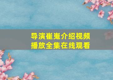 导演崔嵬介绍视频播放全集在线观看