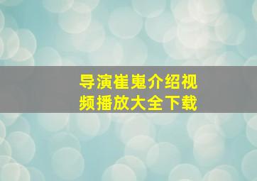 导演崔嵬介绍视频播放大全下载