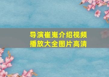 导演崔嵬介绍视频播放大全图片高清