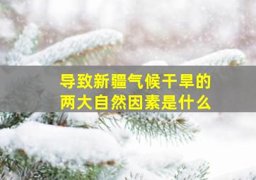 导致新疆气候干旱的两大自然因素是什么