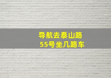 导航去泰山路55号坐几路车