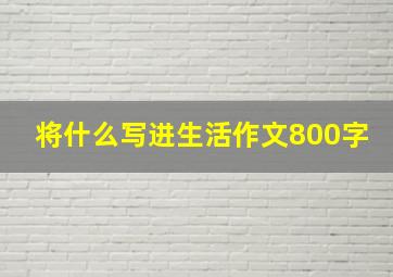 将什么写进生活作文800字