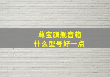 尊宝旗舰音箱什么型号好一点