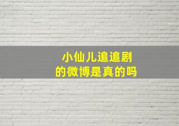 小仙儿追追剧的微博是真的吗