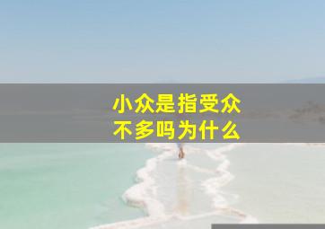 小众是指受众不多吗为什么