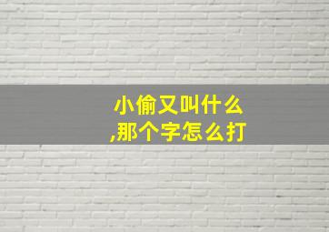 小偷又叫什么,那个字怎么打