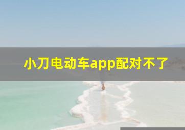 小刀电动车app配对不了