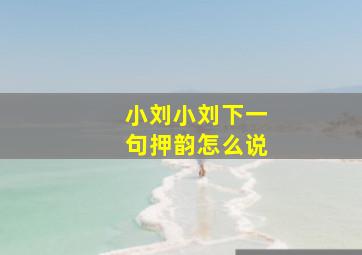 小刘小刘下一句押韵怎么说