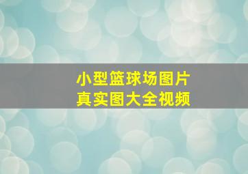 小型篮球场图片真实图大全视频