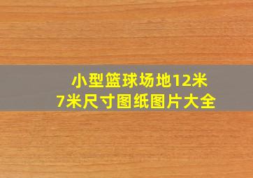 小型篮球场地12米7米尺寸图纸图片大全