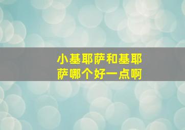 小基耶萨和基耶萨哪个好一点啊