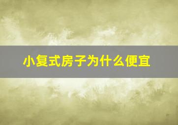 小复式房子为什么便宜