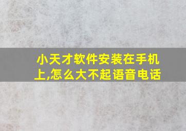 小天才软件安装在手机上,怎么大不起语音电话