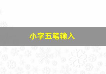 小字五笔输入